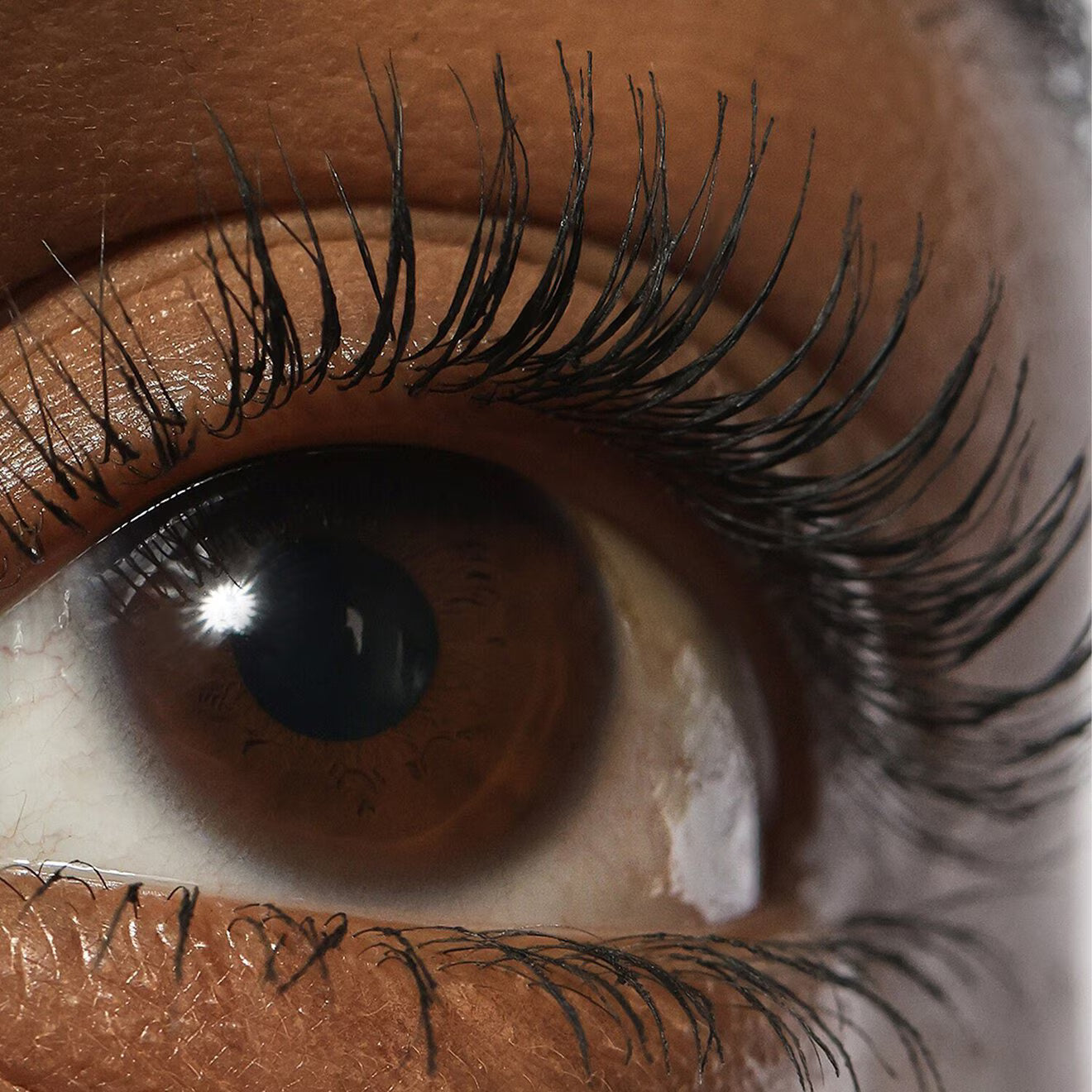 REFY Lash Sculpt