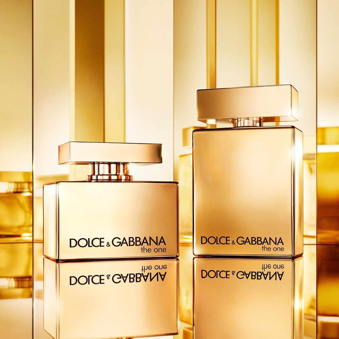 The One Gold Eau de Parfum Intense