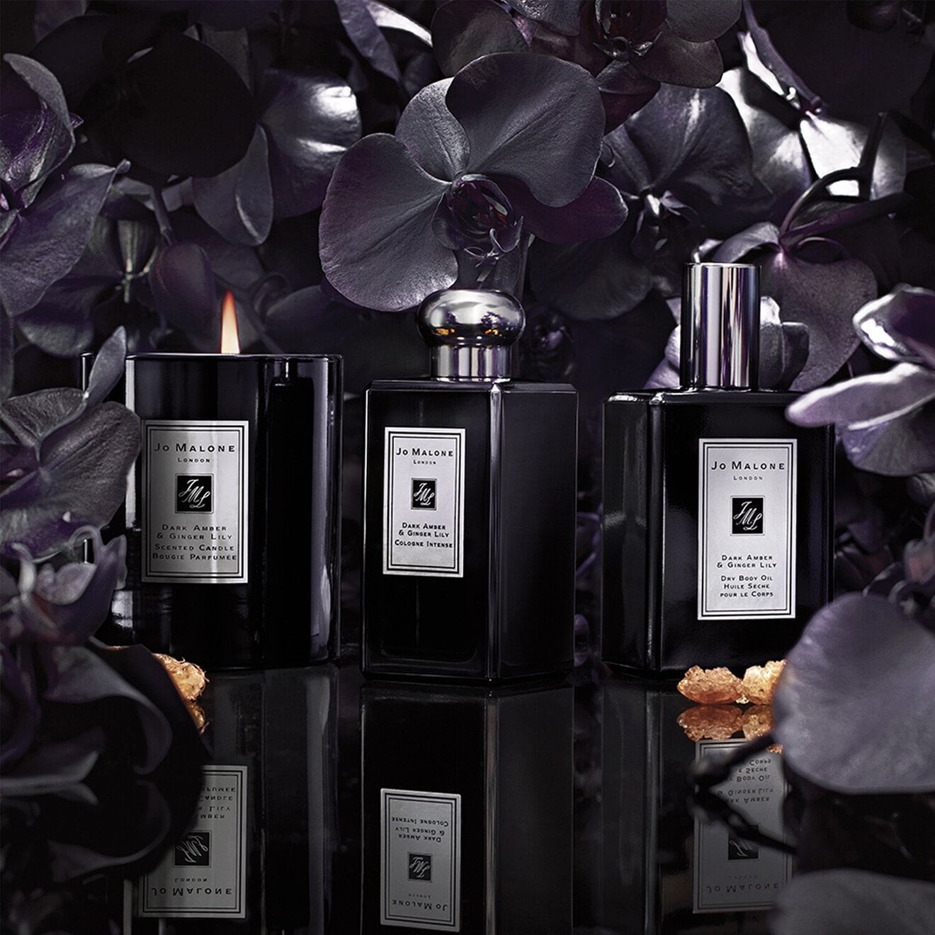 Dark Amber & Ginger Lily - Cologne Intense