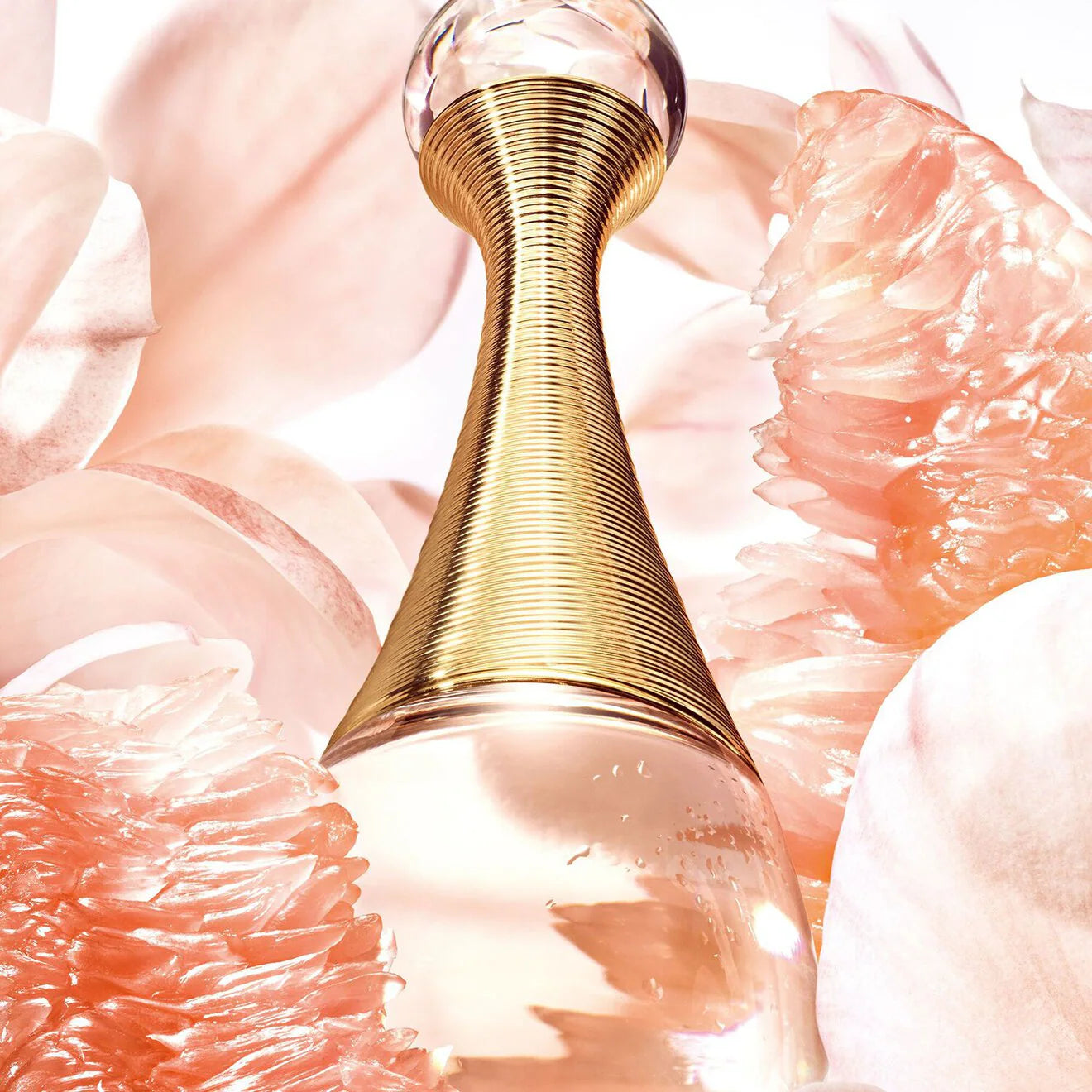 J'adore Eau Lumiere Eau de Toilette