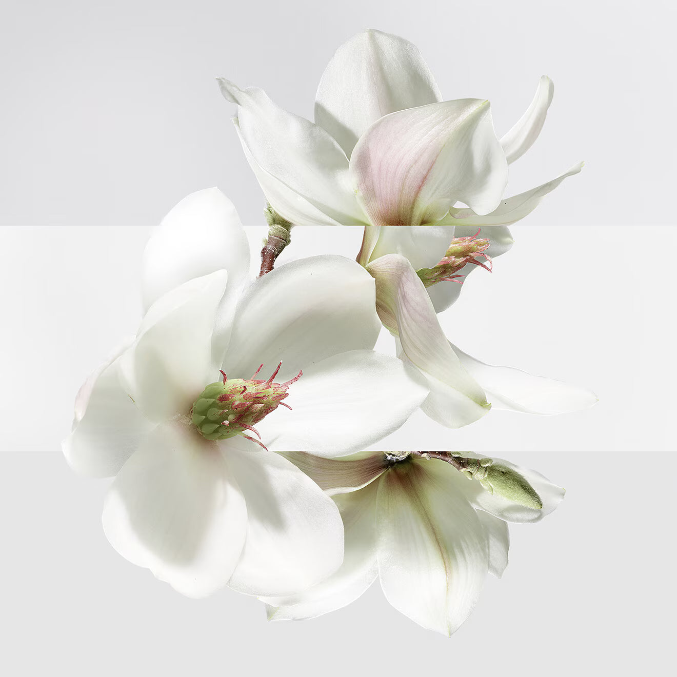 Un Jardin sur la Lagune Eau de toilette