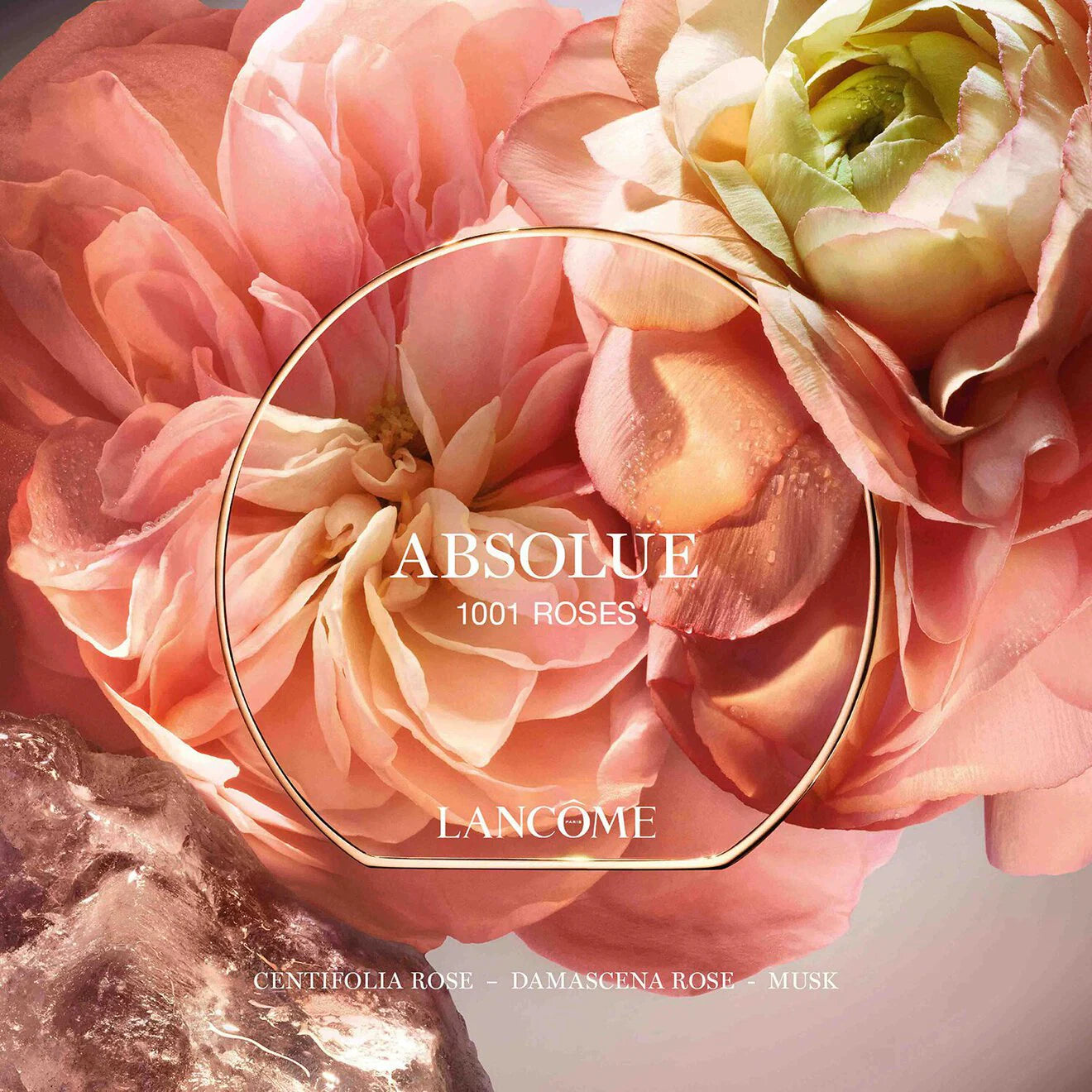 Absolue Les Parfum 1001 Roses