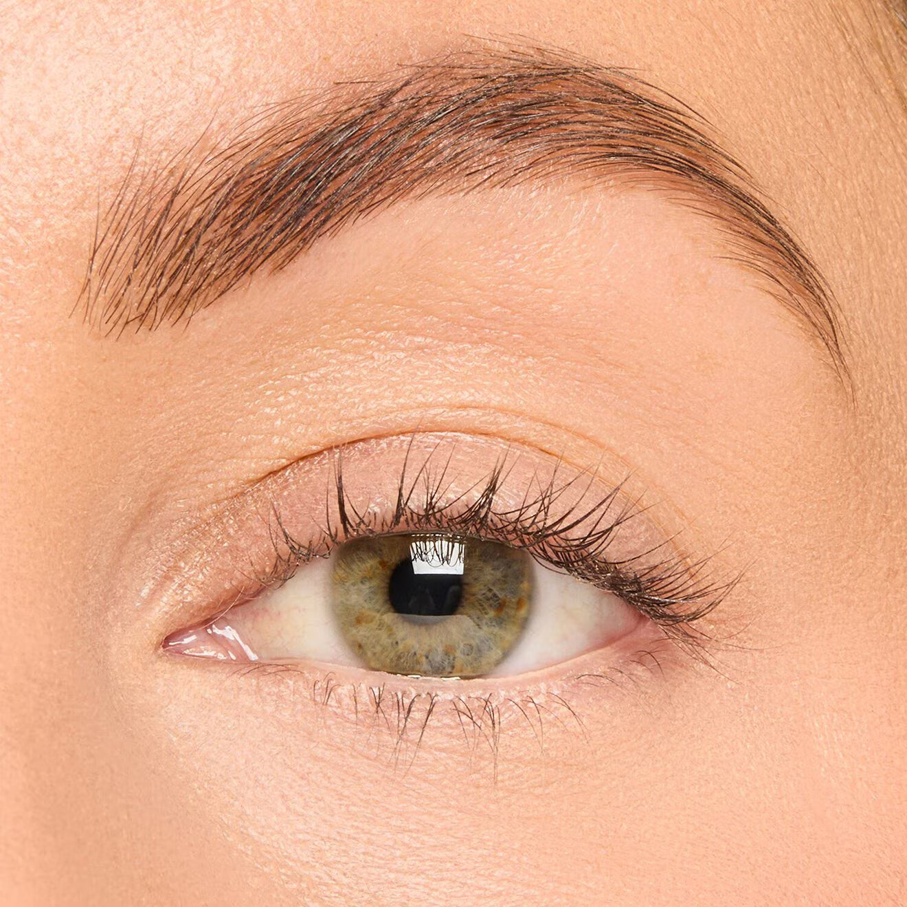 Tartelette™ Tubing Lash Primer