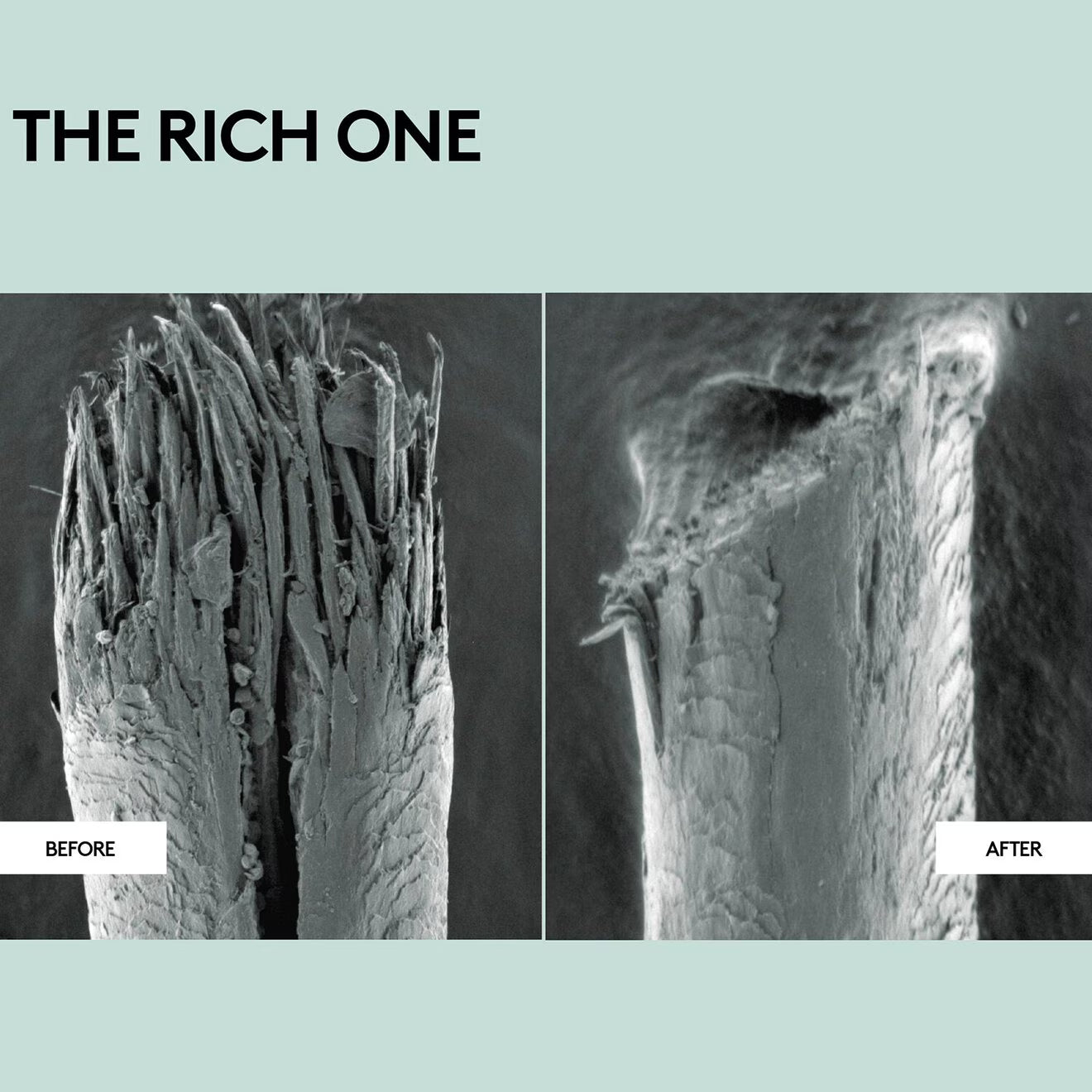 The Rich One Moisture Repair Conditioner