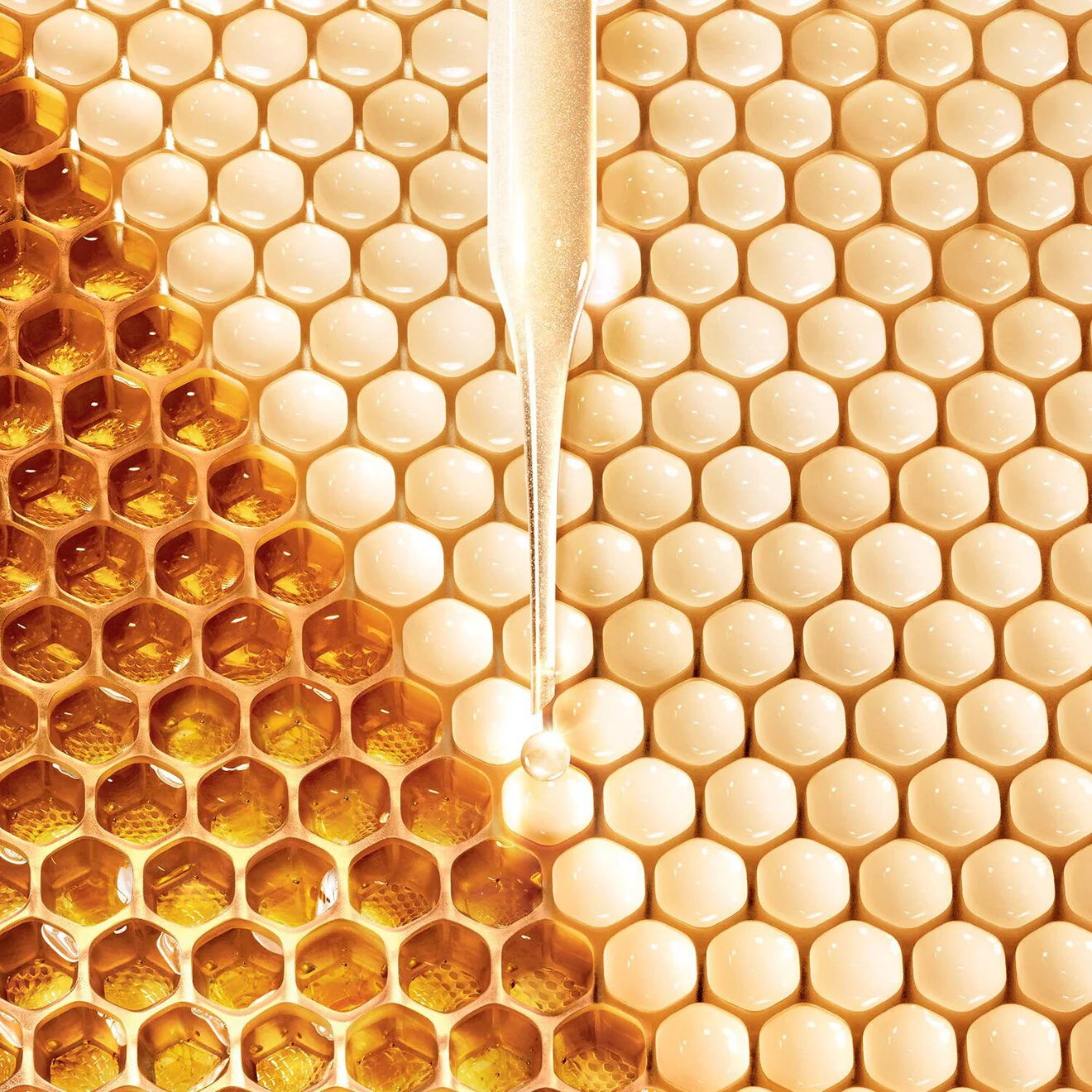 Abeille Royale Multi-Wrinkle Minimizer Eye Cream
