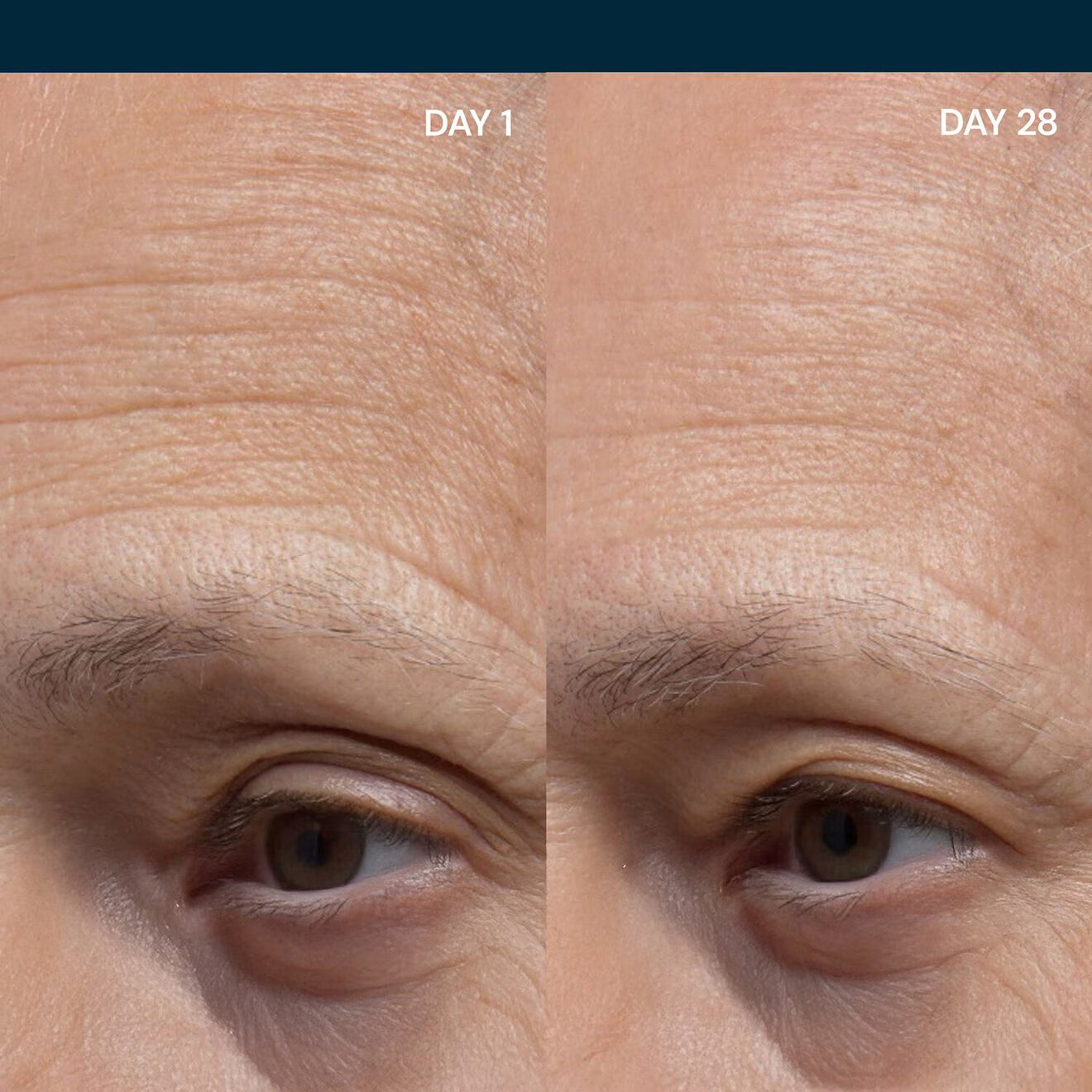 Pro-Collagen Night Cream - Nourishing Overnight Treatment