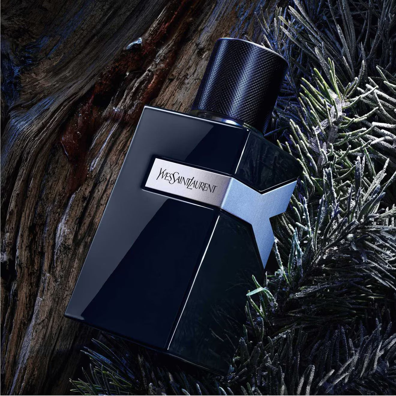 Y Le Parfum
