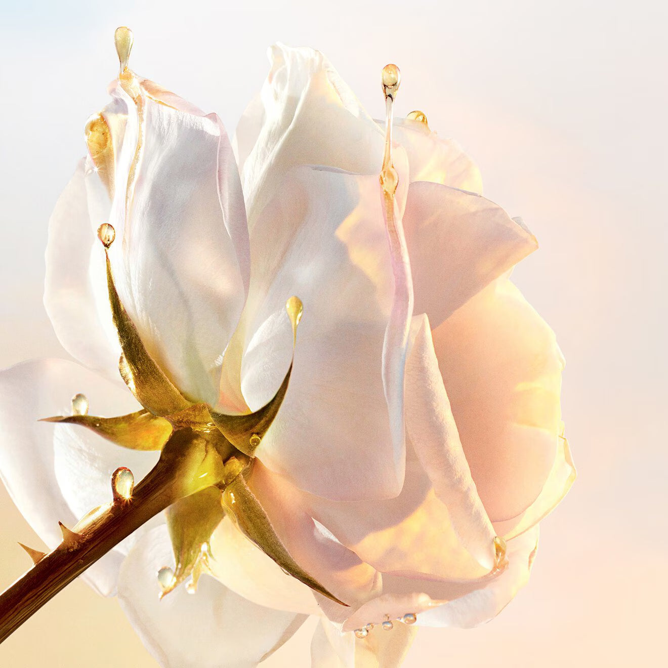 Dior Prestige Le Baume Démaquillant