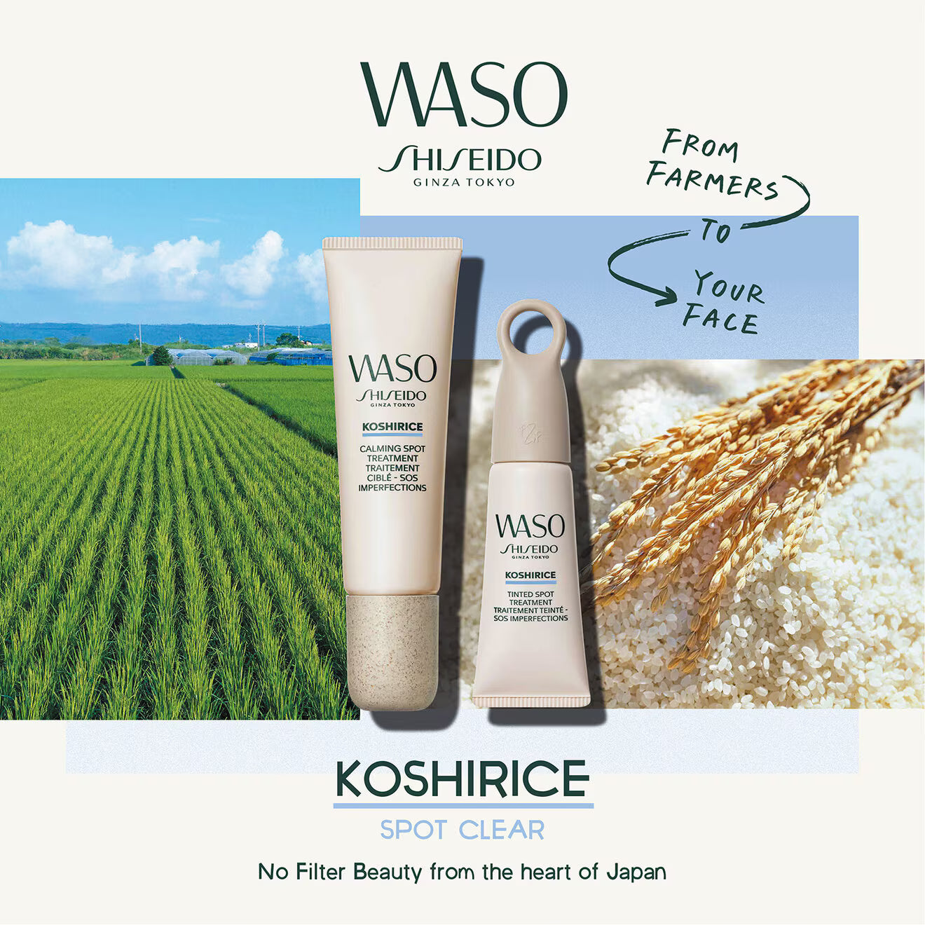 SHISEIDO WASO KOSHIRICE TINTED SPOT TREATMENT