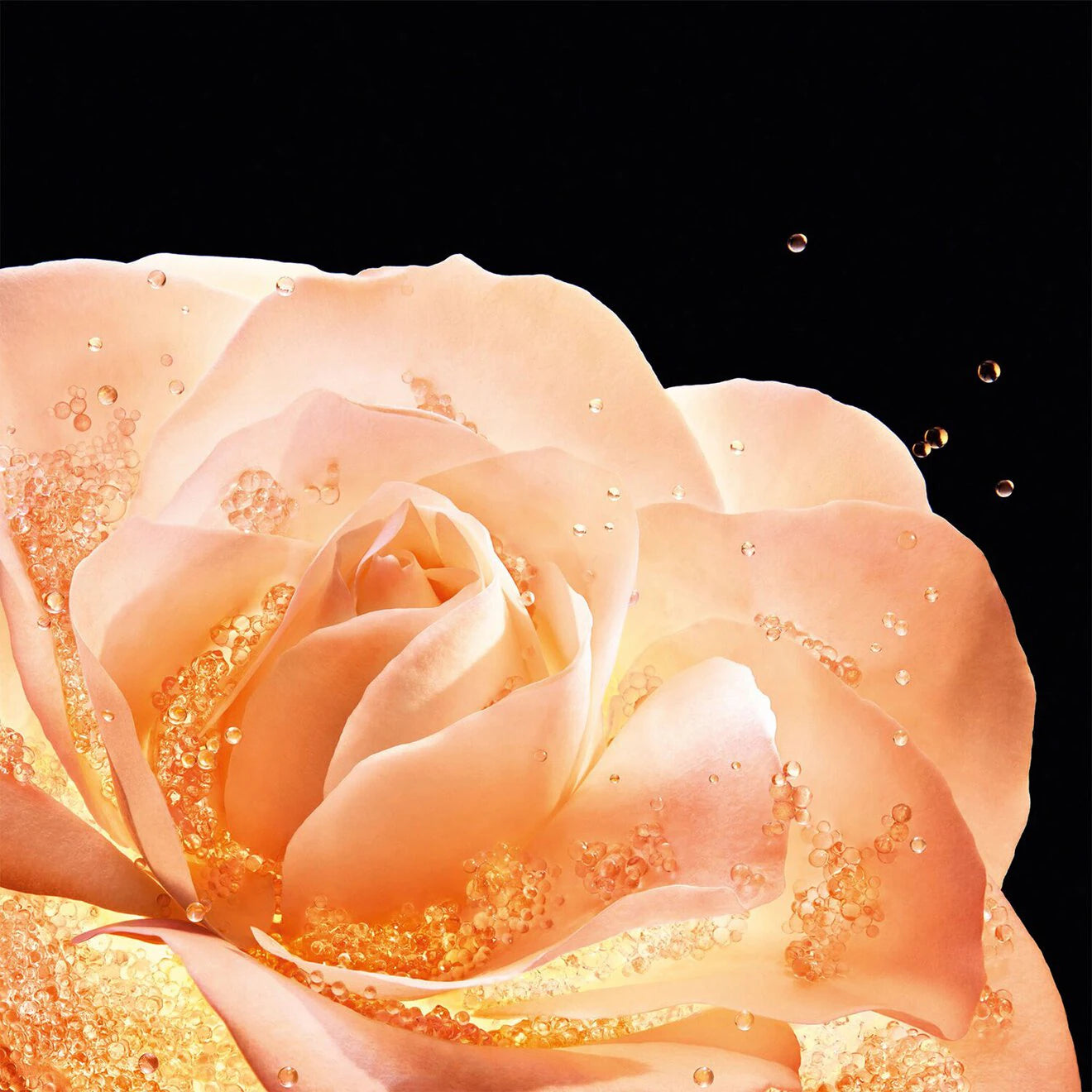 Dior Prestige Le Concentré Yeux