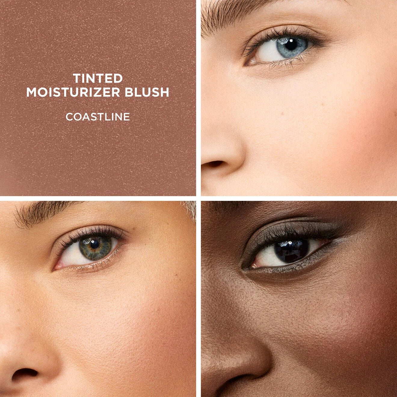 TINTED MOISTURIZER BLUSH