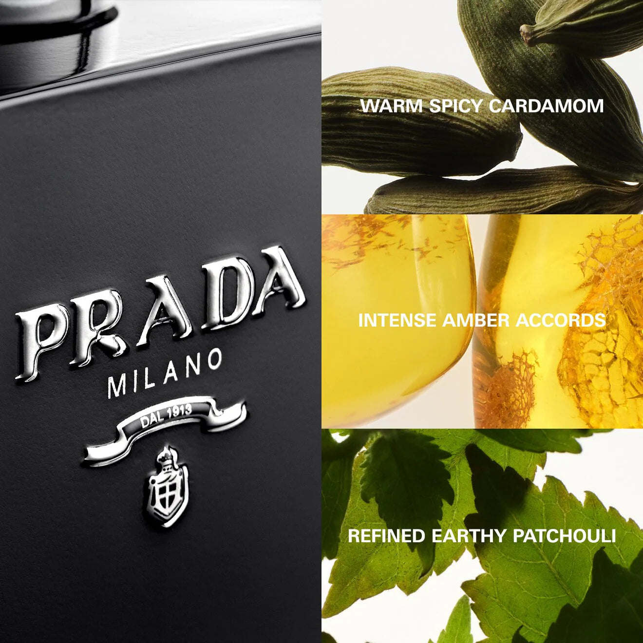 L'Homme Prada Intense