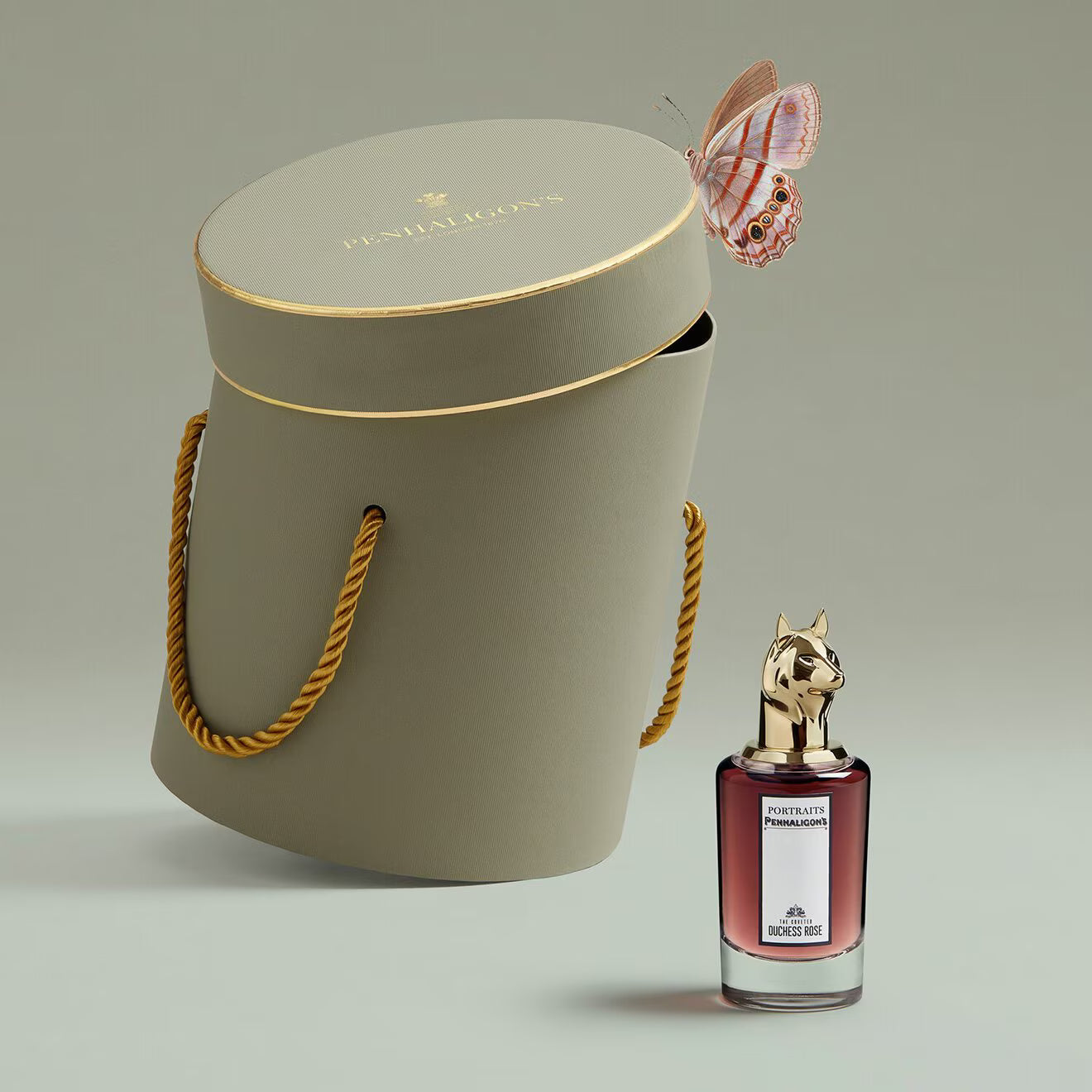 DUCHESS ROSE