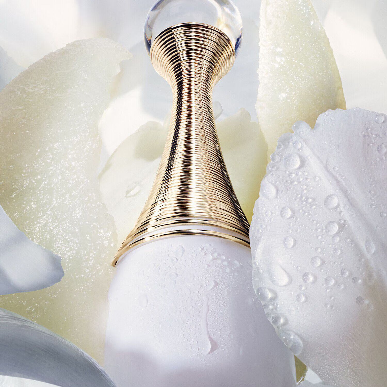 J’adore Parfum d'eau