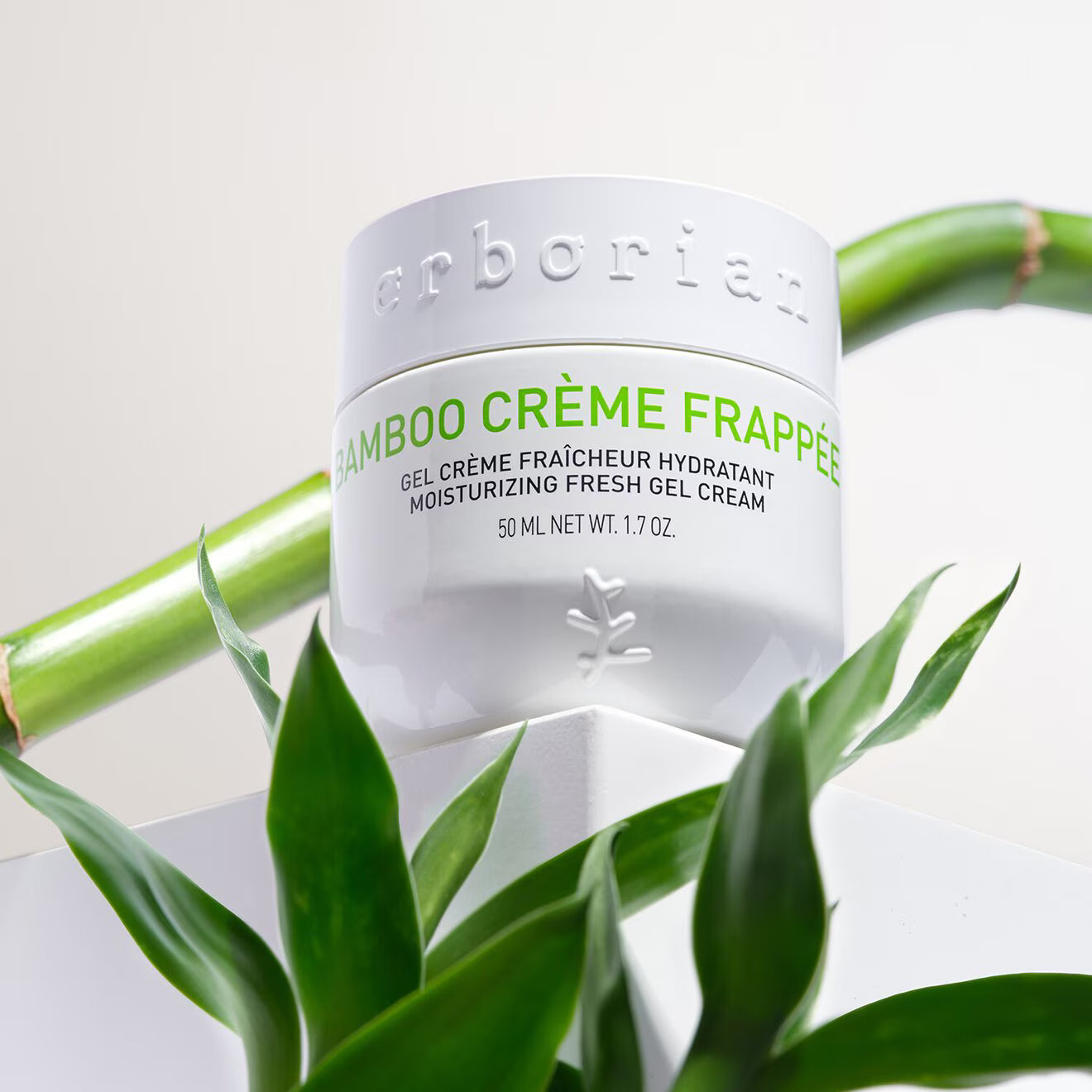 Bamboo Crème Frappée - Day cream