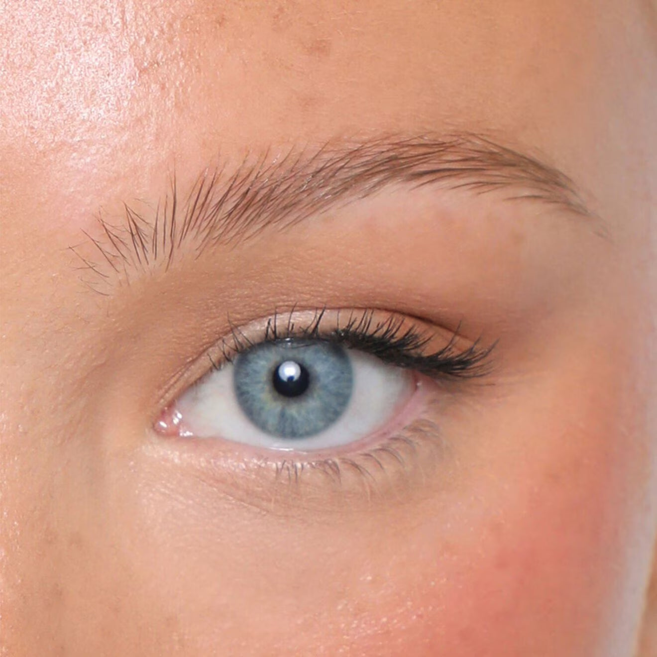 Brow Tint