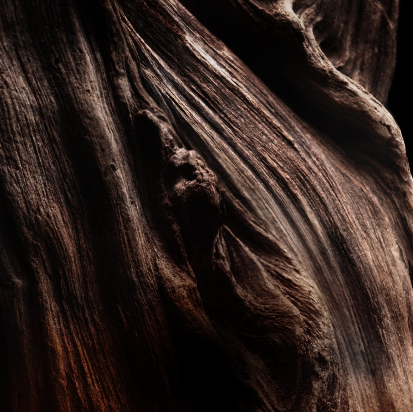 Absolus Allegoria: Oud Essentiel - Eau de Parfum