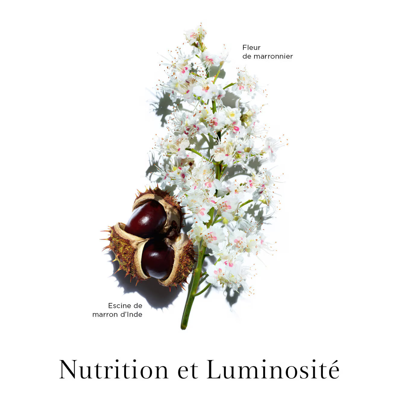 Nutri-Lumière Day Emulsion - All Skin Types