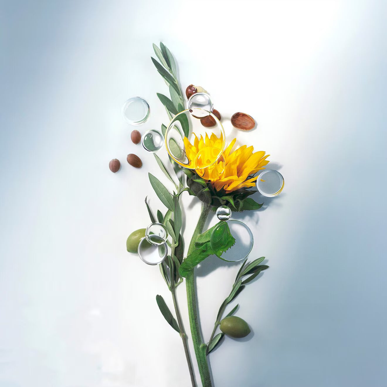 Soothing Cleansing Oil - Makeup remover and cleanser