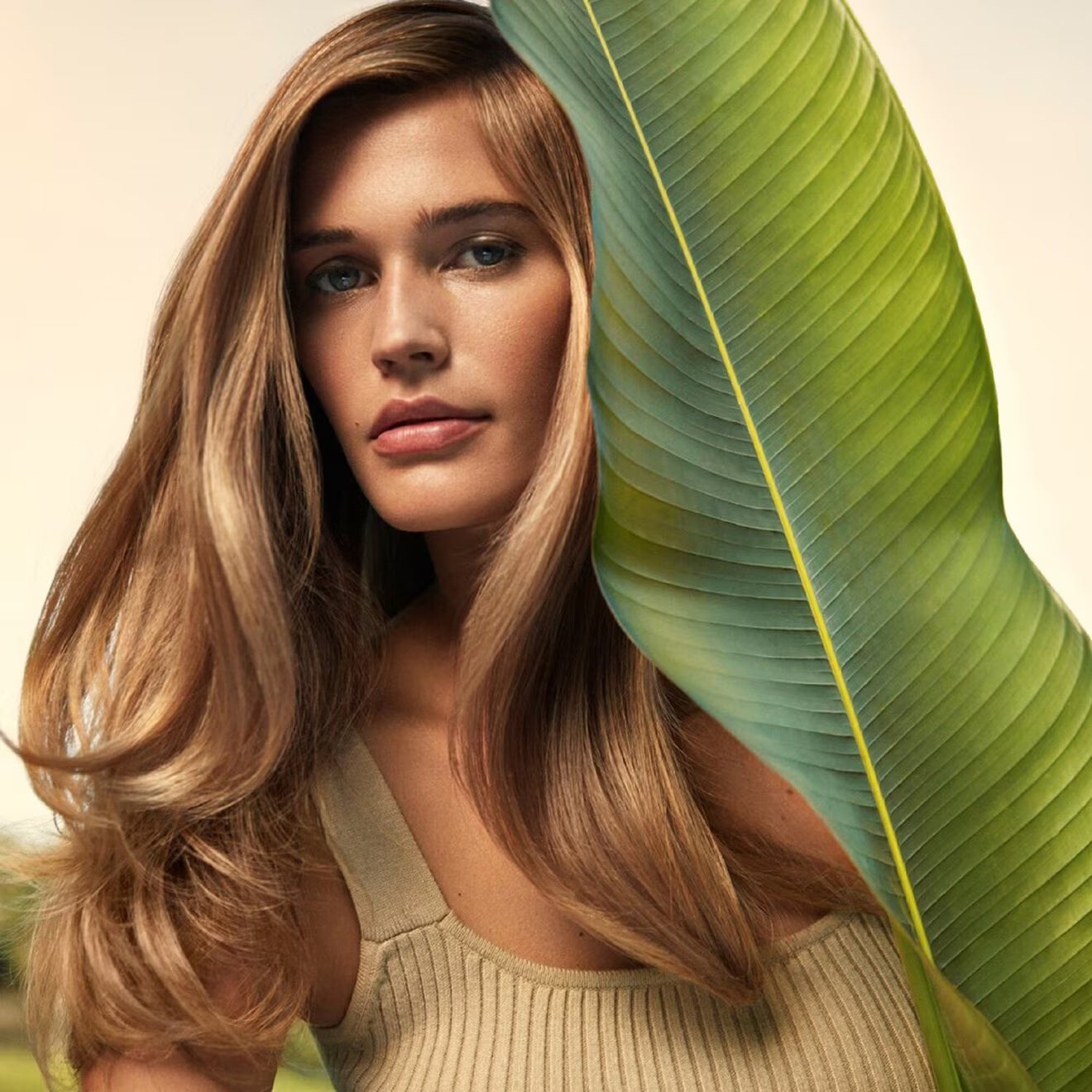 Nutriplenish Shampoo Light