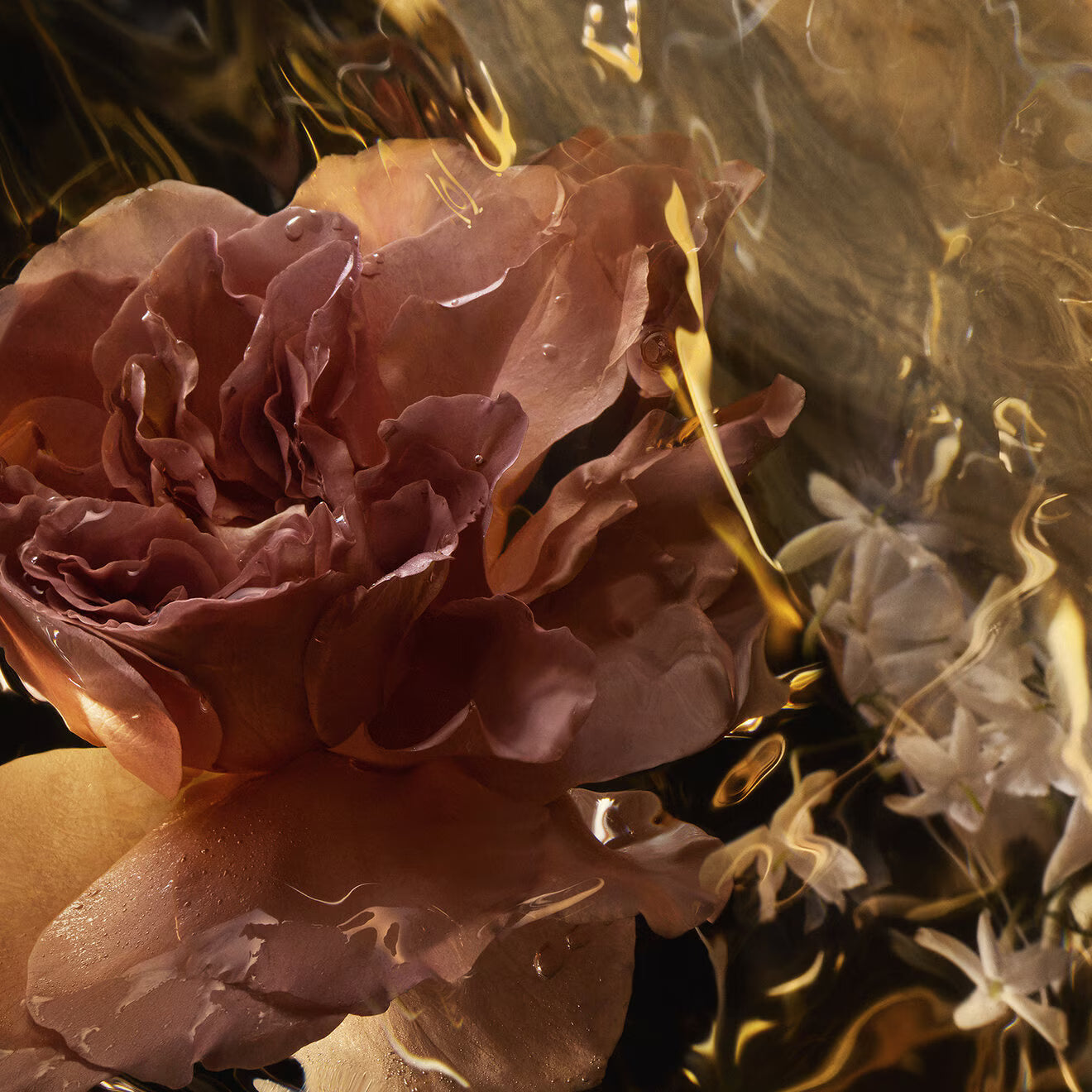 Absolus Allegoria: Santal Royal - Eau de Parfum