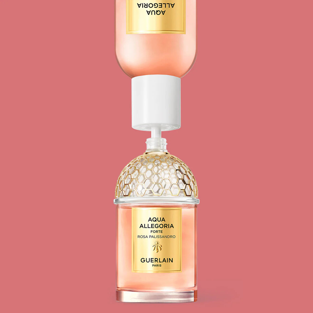 Aqua Allegoria Forte: Rosa Palissandro - Eau de Parfum