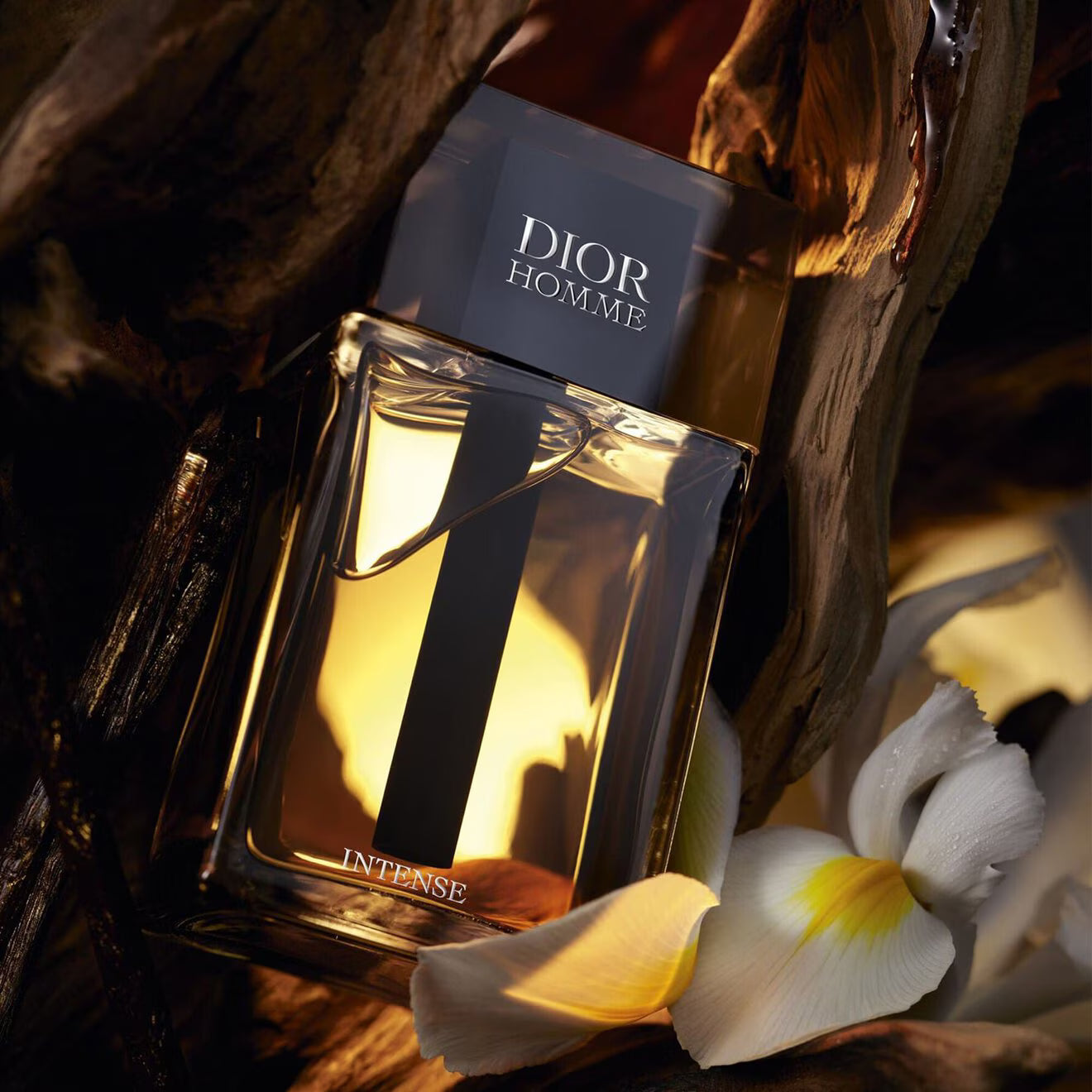 Dior Homme Intense Eau de Parfum