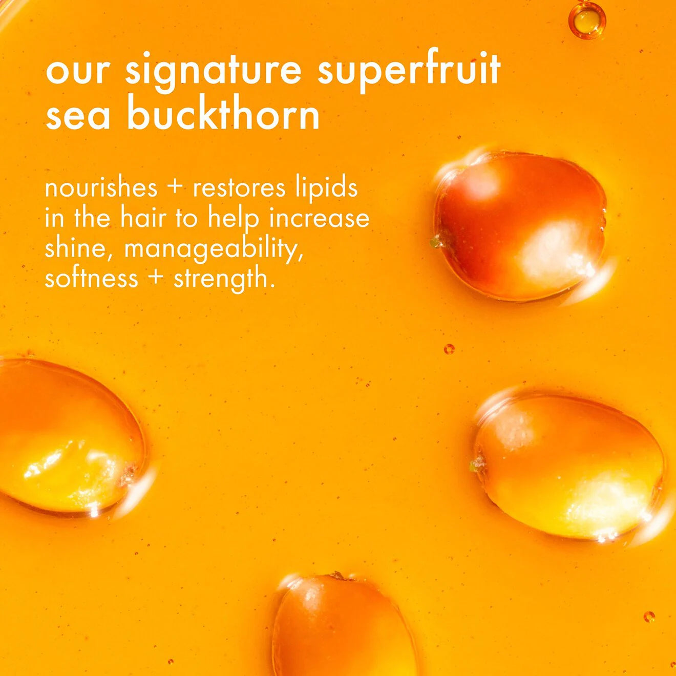Fluxus - Touchable Hairspray
