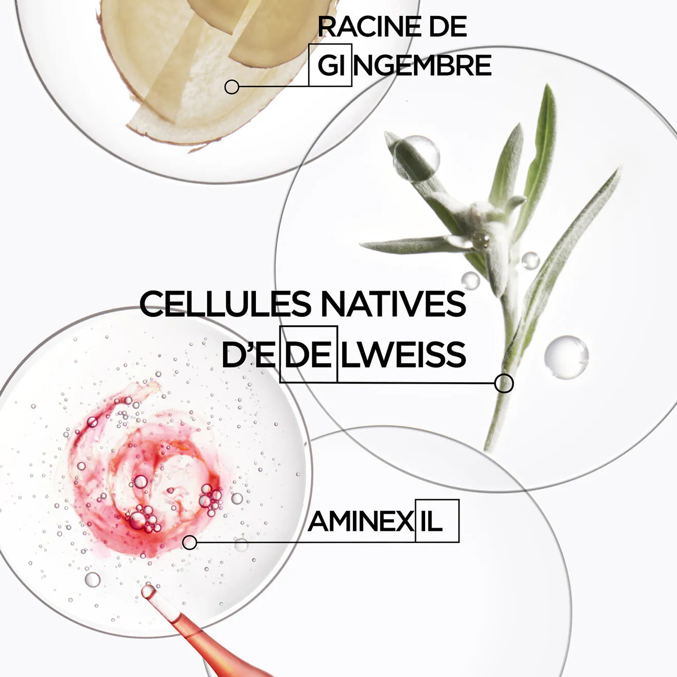 Genesis Anti Hair-Fall Shampoo for Normal to Dry Hair