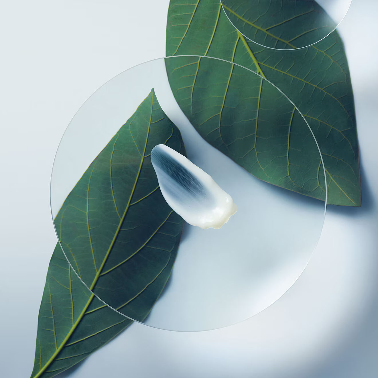 Botanical Repair Strengthening Leave-In Treatment