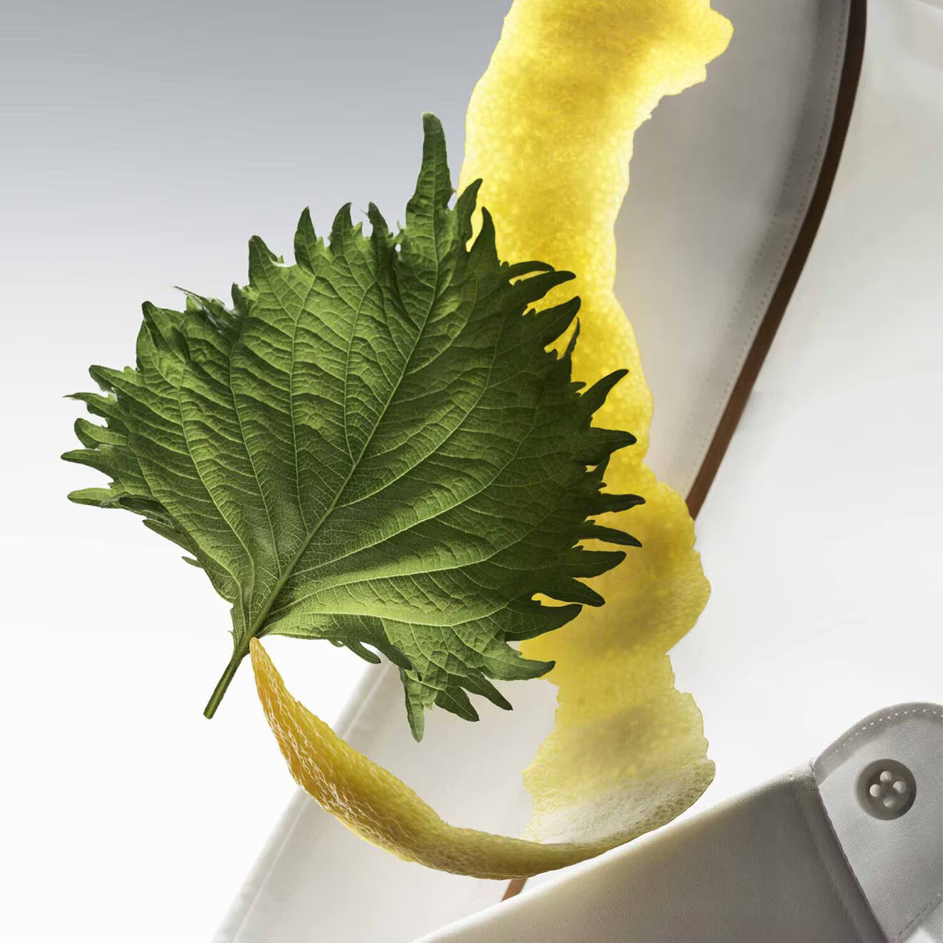 The Collection Vigorous Cologne - Eau de Parfum