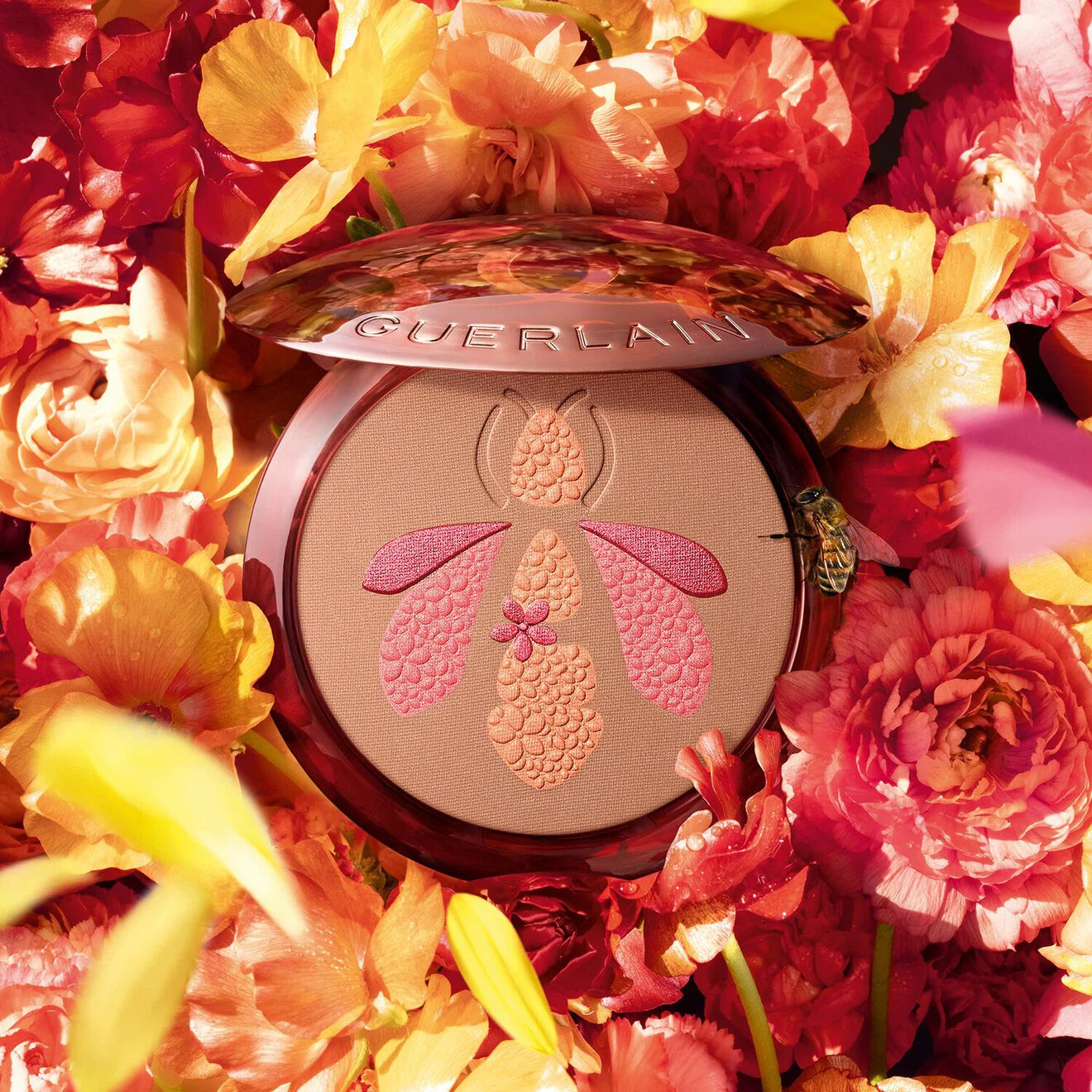 Terracotta Superbloom Summer Edition