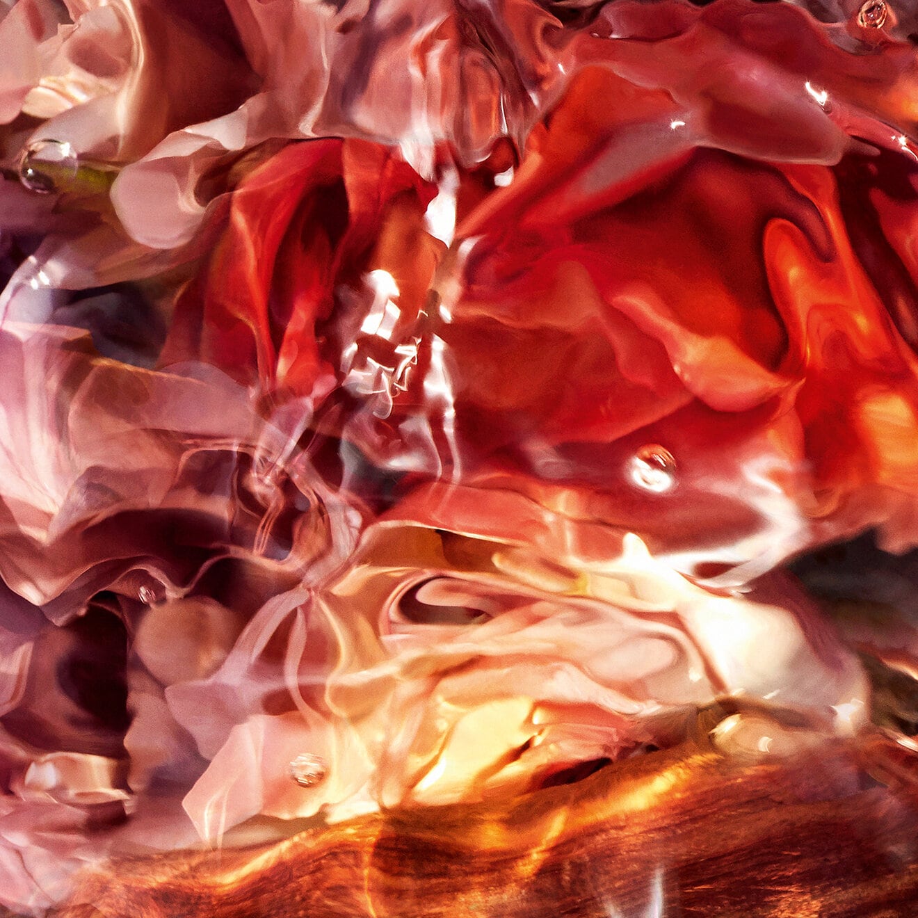 Aqua Allegoria Forte: Rosa Palissandro - Eau de Parfum