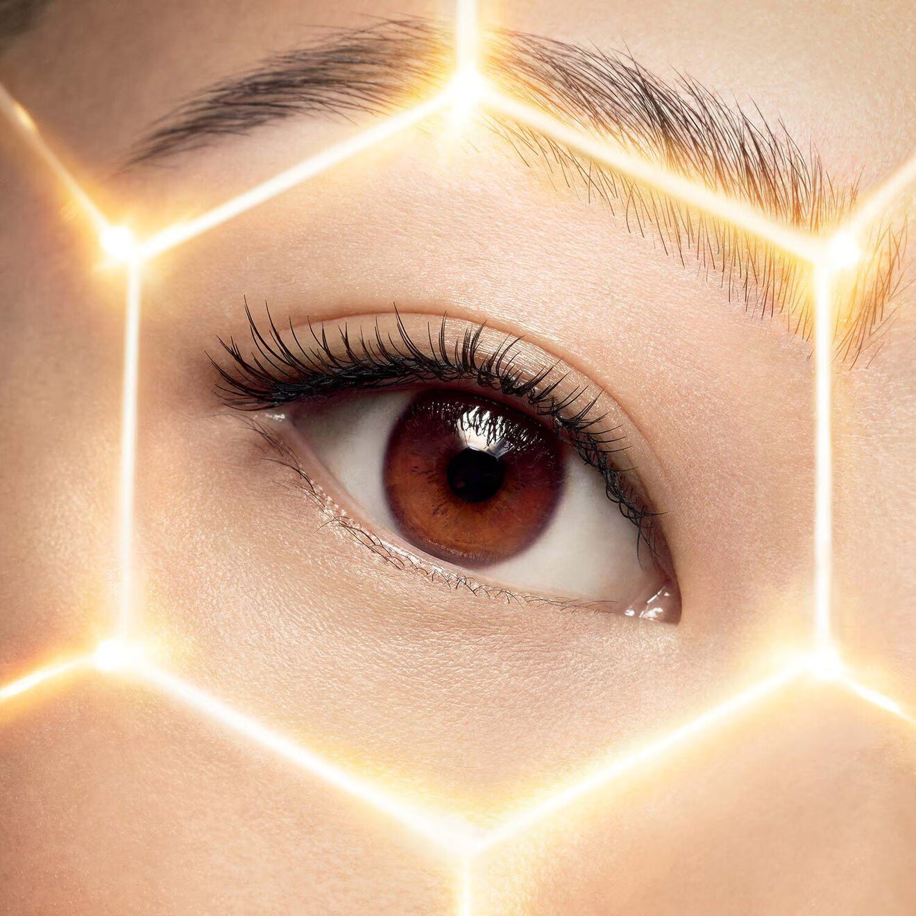 Abeille Royale Multi-Wrinkle Minimizer Eye Cream