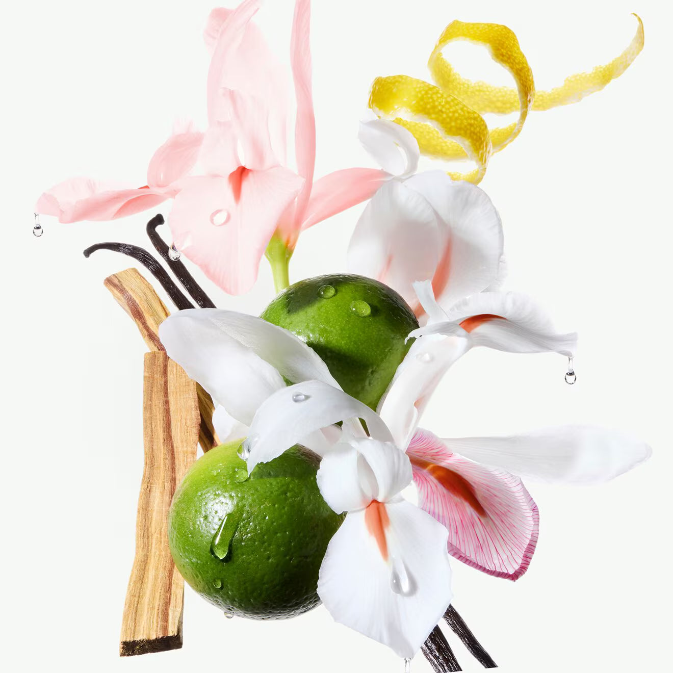 Gloss Absolu Masque Creme Hydra-Glaze