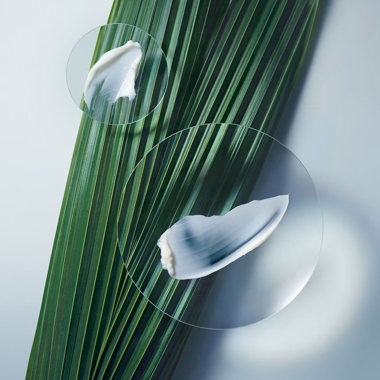 Botanical Repair Mask - Rich Intensive strengthening Mask