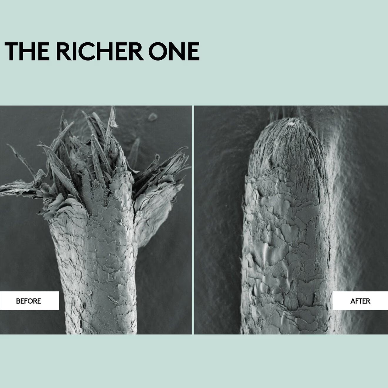 The Richer One Moisture Repair Deep Conditioner