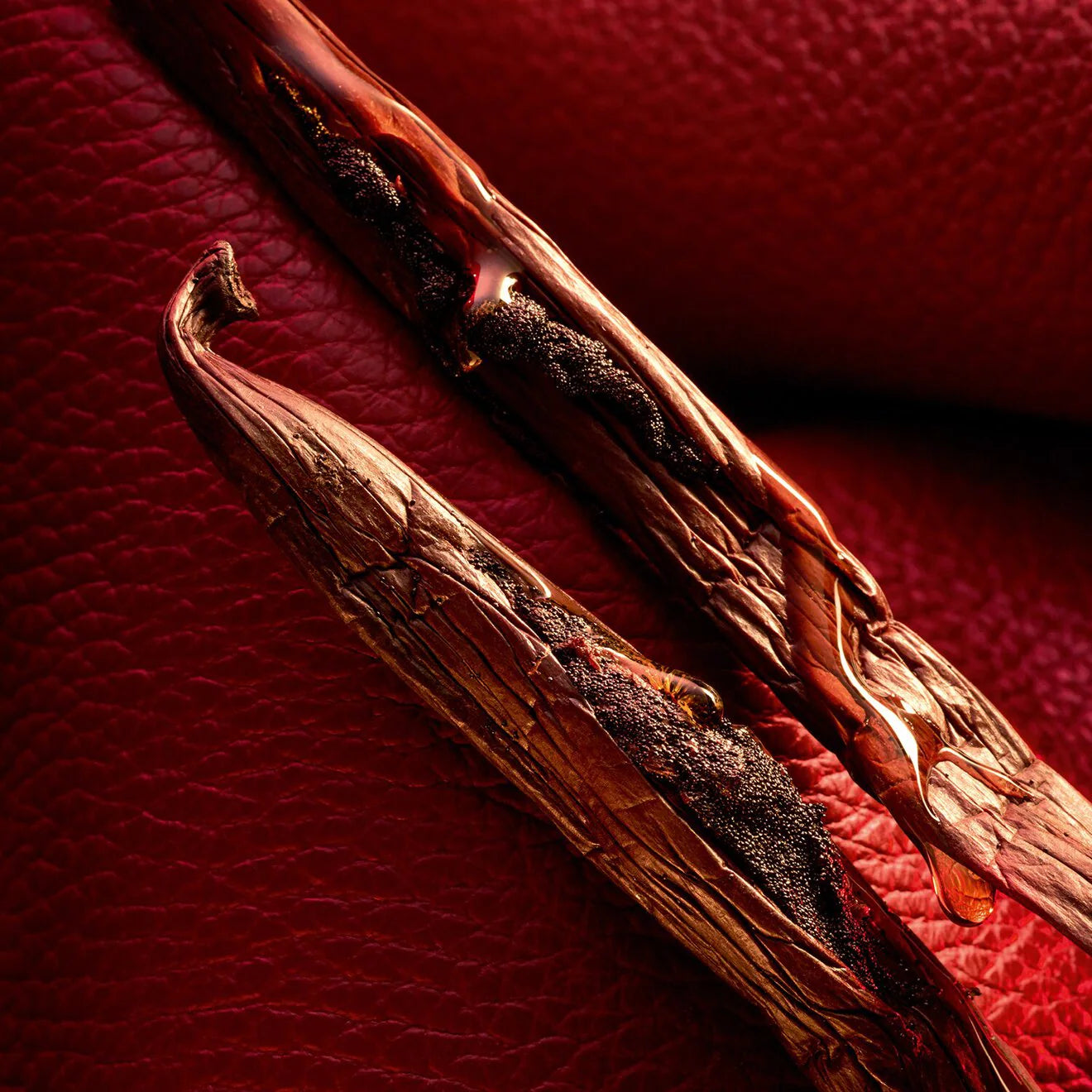 Habit Rouge Le Parfum