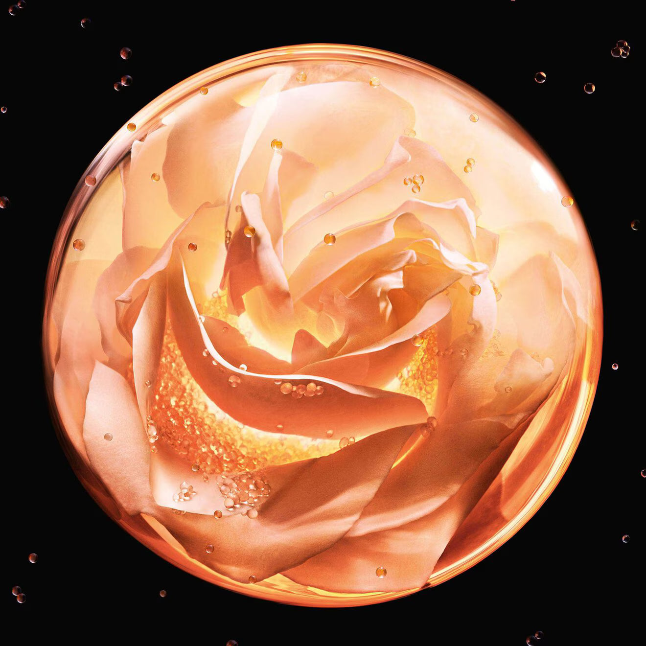 Prestige Le Micro-Sérum de Rose Yeux
